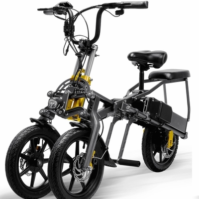 Sul motorino elettrico della strada del ODM di vendita della ruota elettrica portatile del motorino 250w due